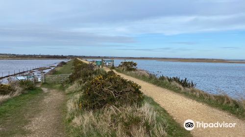 Lymington & Keyhaven Marshes