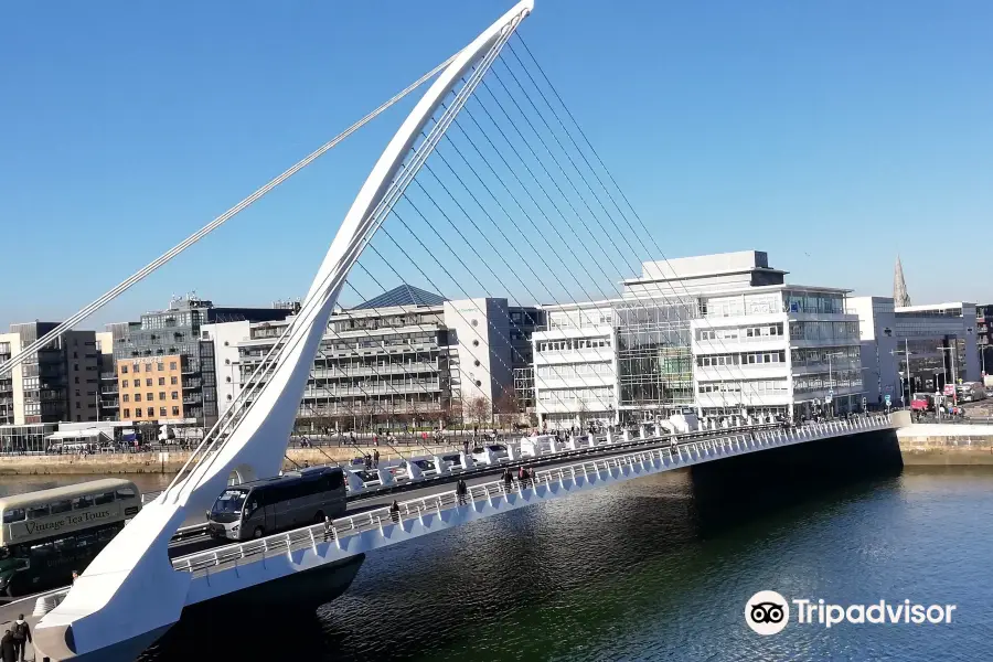 Samuel Beckett Bridge