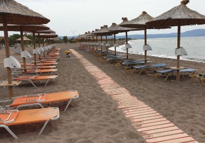 Skala Kallonis Beach