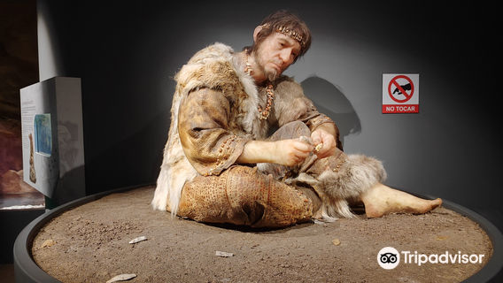 Museum of Prehistory and Archaeology of Cantabria
