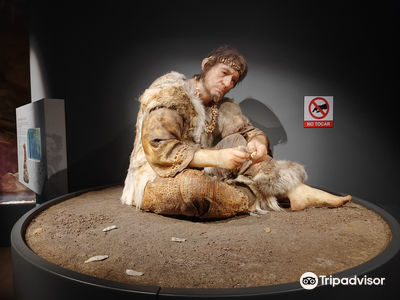 Museum of Prehistory and Archaeology of Cantabria