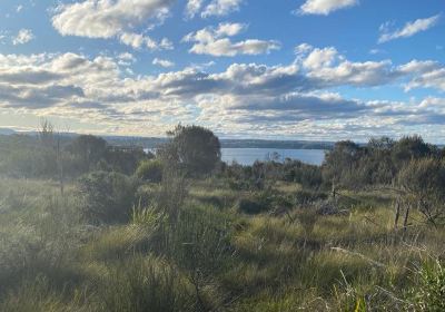 Ulladulla Wildflower Reserve