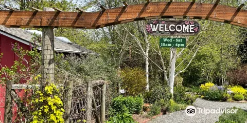 Soos Creek Botanical Garden