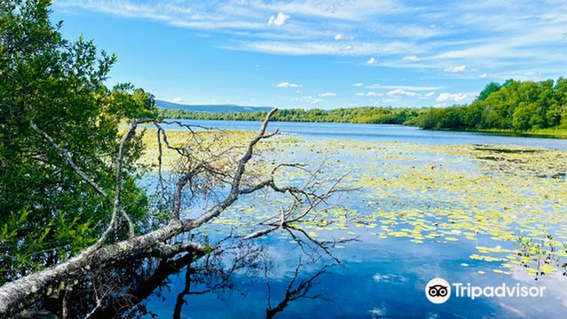 Muir of Dinnet National Nature Reserve
