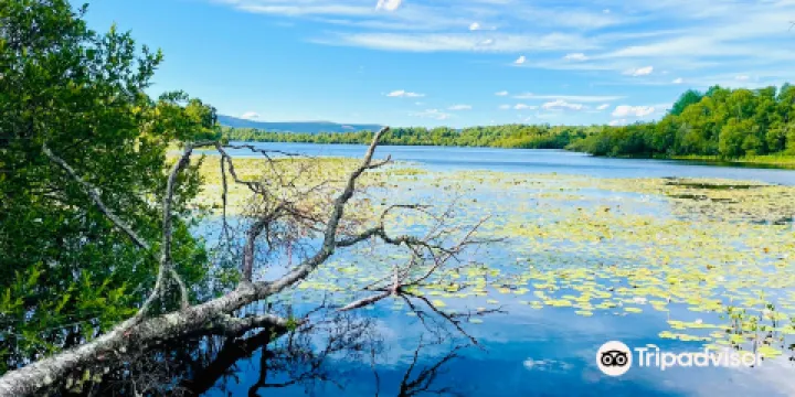 Muir of Dinnet National Nature Reserve