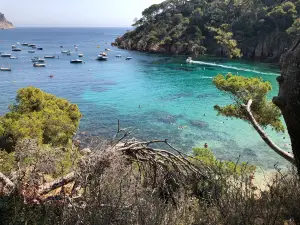 Platja Cala Aiguablava