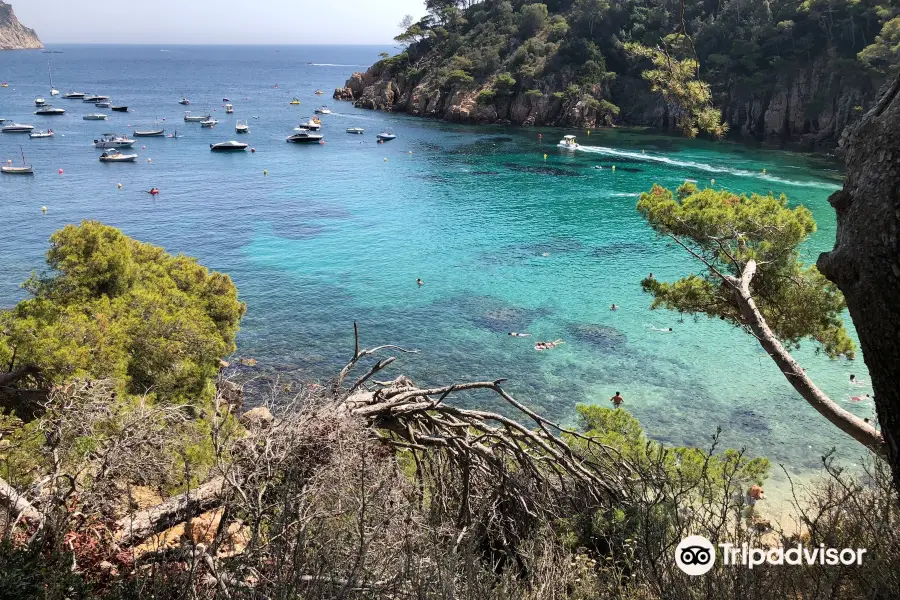 Platja Cala Aiguablava