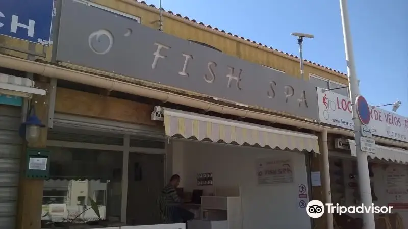 O' Fish Spa