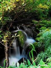 Mill Creek Canyon