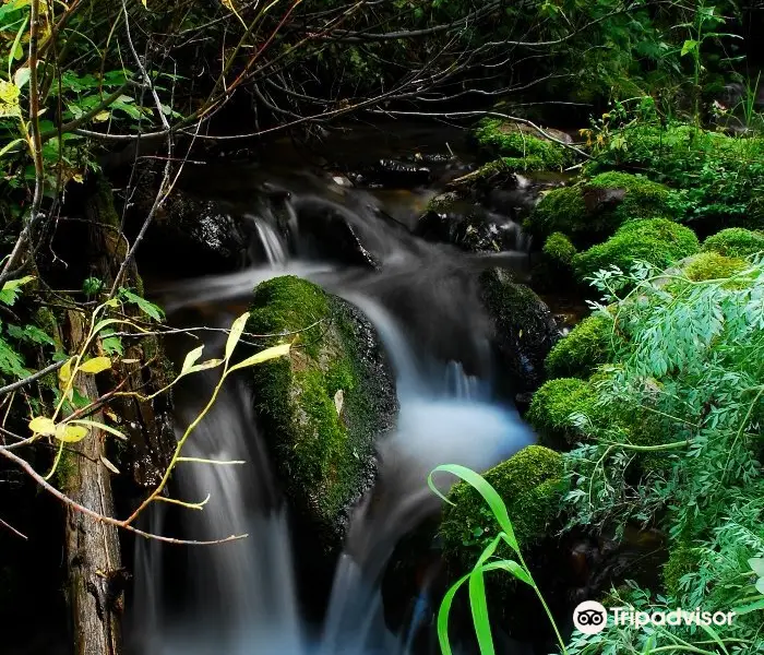 Mill Creek Canyon