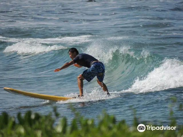 Hawaii Surfing