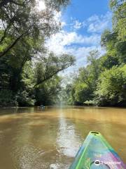 Chestatee River Adventures