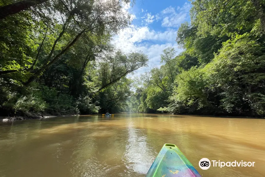 Chestatee River Adventures