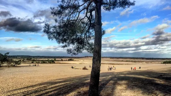 The Loonse and Drunense Duinen National Park