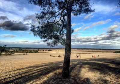 Nationalpark De Loonse en Drunense Duinen