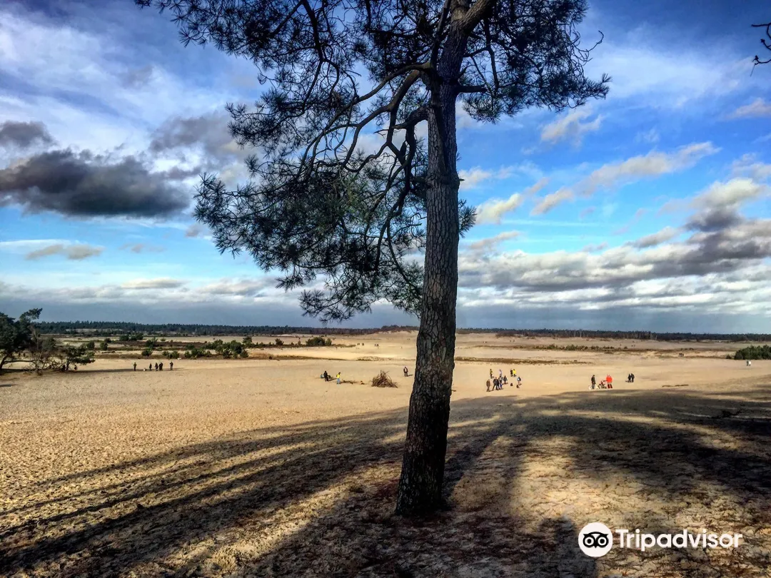 1_National Park de Loonse en Drunense Duinen