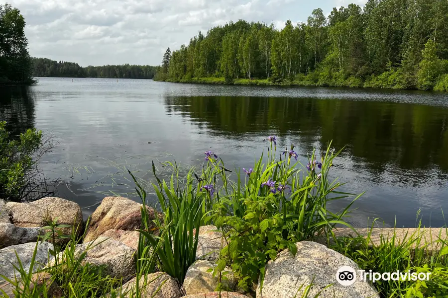 Chequamegon-Nicolet National Forest