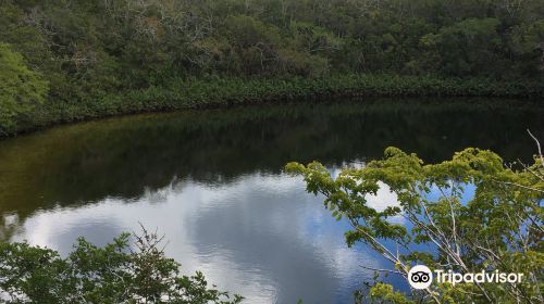 Cottage Pond