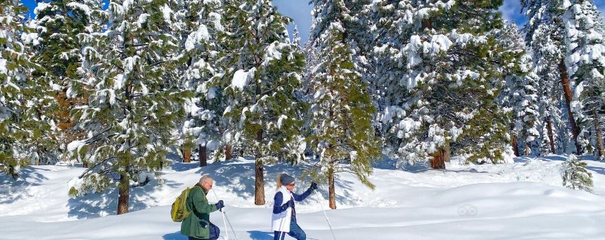 Tahoe Adventure Company