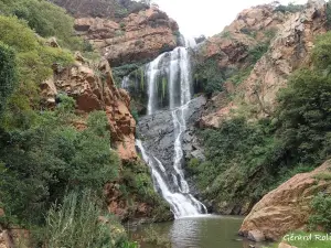 Walter Sisulu National Botanical Garden