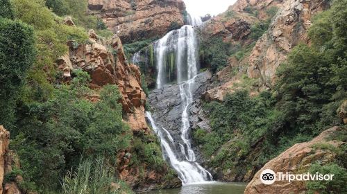 Walter Sisulu National Botanical Gardens