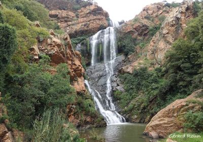 Walter Sisulu National Botanical Garden