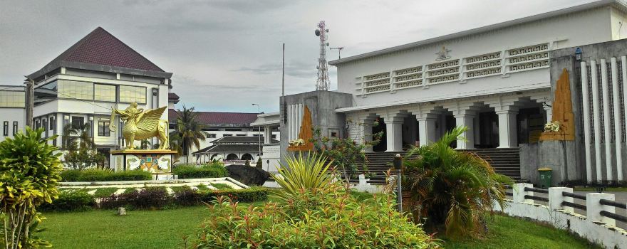 Panji