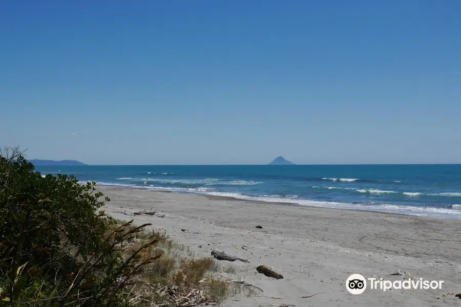 Waiotahe Beach