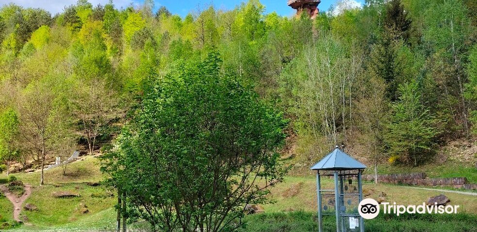 ХинтервайдентальРекомендованные развлечения