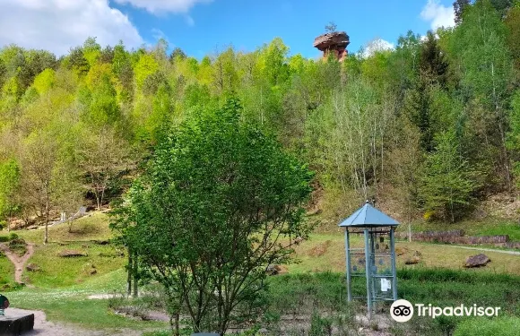 欣特爾魏登塔爾