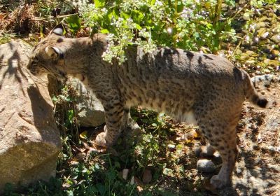 Salato Wildlife Education Center