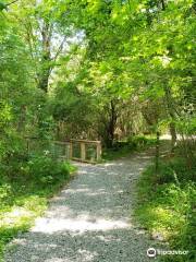 BREC's Bluebonnet Swamp Nature Center