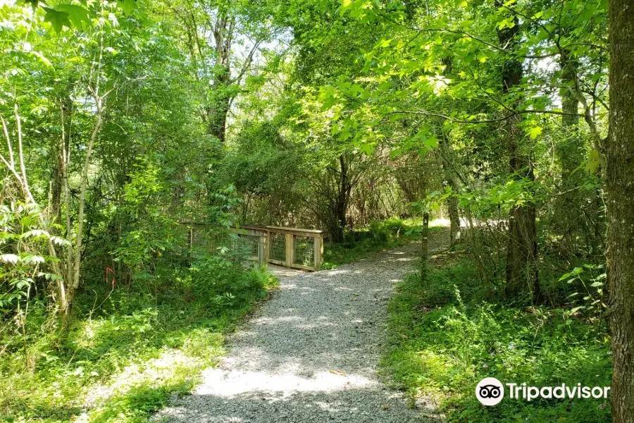 Bluebonnet Swamp Nature Center