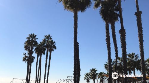 Muscle Beach Venice