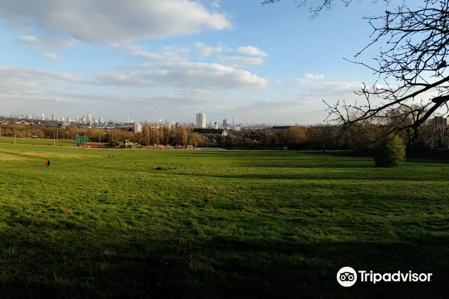 Parliament Hill Fields