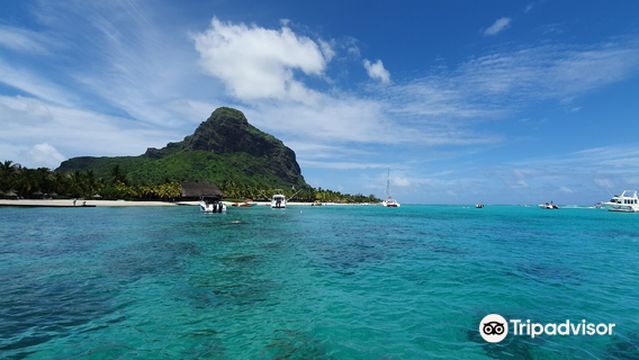 DREAM DOLPHIN Mauritius | Nager avec les Dauphins Île Maurice - Dolphin & Ocean Guide - Boats trips - Underwater-photo