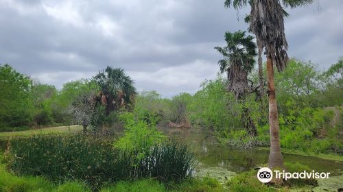 Hugh Ramsey Nature Park