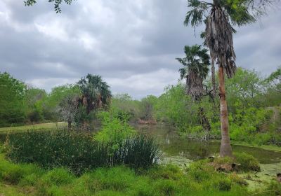 Hugh Ramsey Nature Park