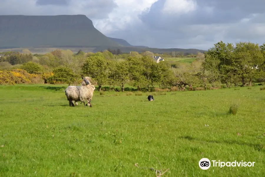 Atlantic Sheepdogs