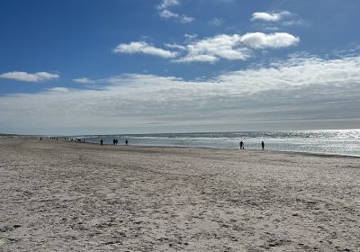 Henne Strand