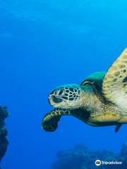 Explore Kauai Scuba