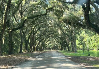 Wormsloe Historic Site