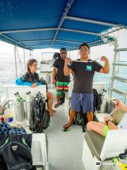Palau Dive Adventures