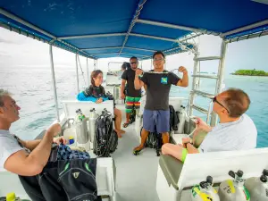 Palau Dive Adventures