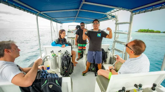 Palau Dive Adventures