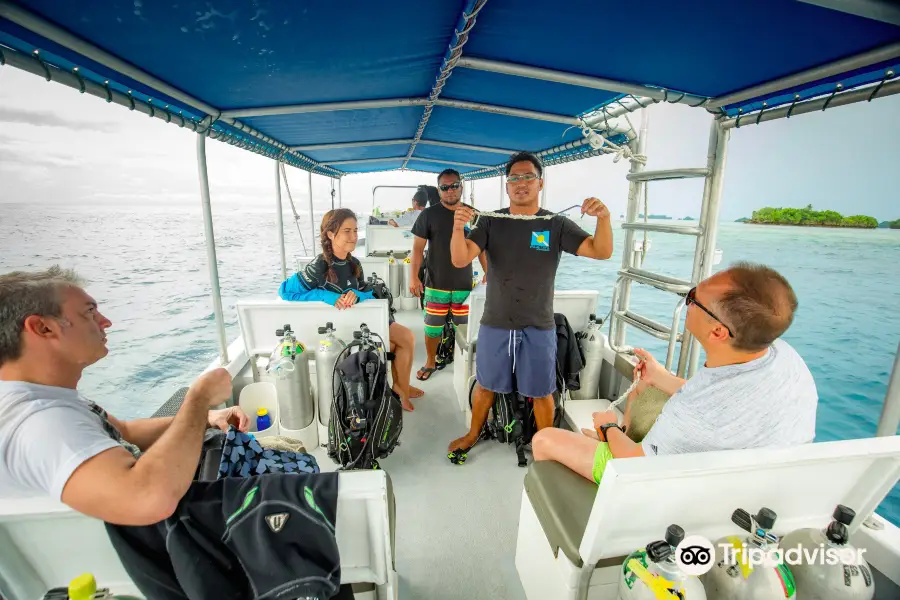 Palau Dive Adventures