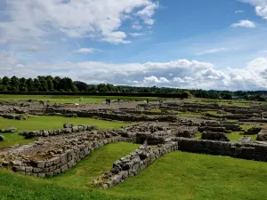 Corbridge Roman Town