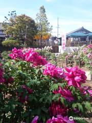 Nagashima Waterside Yasuragi Park