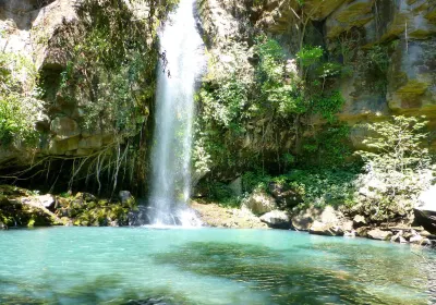Guanacaste