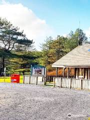 Pembrey Country Park